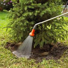Potted Spruce Tree Planted