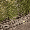 Light Up Brush Trees Forest - Green Light Up Brush Trees Forest - Green