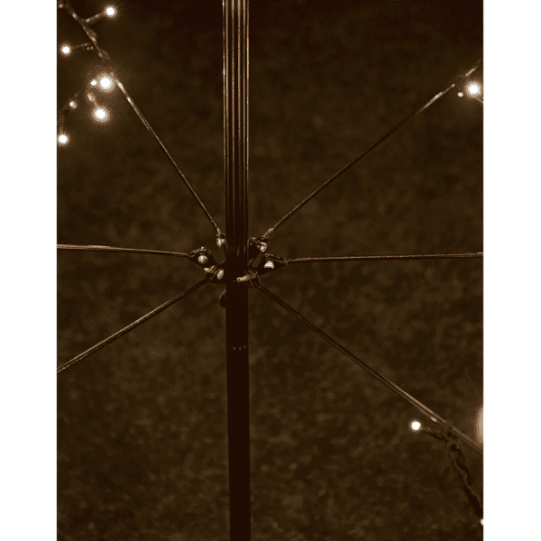 Indoor Outdoor Light Up Tree Indoor Outdoor Light Up Tree