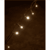 Indoor Outdoor Light Up Tree Indoor Outdoor Light Up Tree