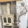 Natural Twisted Contorted Willow Stems