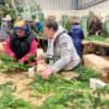 Wreath Making Workshop