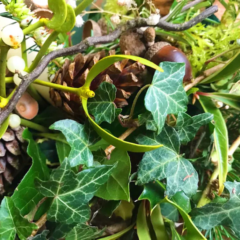 IMG_2252 copy IMG_2252 copy