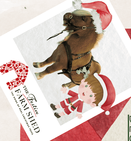 Pony Cart Rides at Farm Shed Pony Cart Rides at Farm Shed