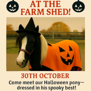 Halloween Pony Rides