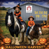 Halloween Pony Rides Halloween Pony Rides