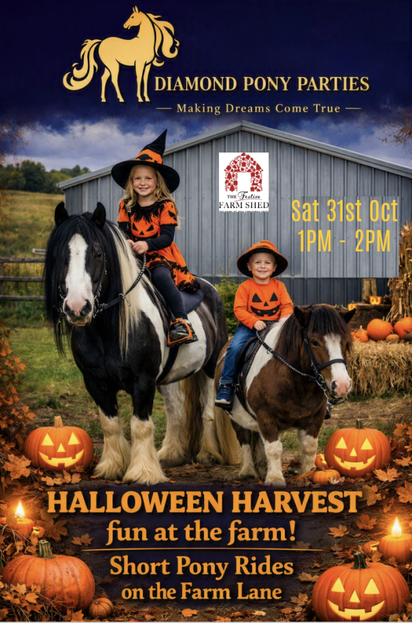 Halloween Pony Rides Halloween Pony Rides