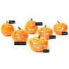 Ceramic pumpkin mix TM045 Pumpkin Jack-o-lantern Names
