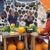 Pumpkin Workshop Pumpkin Workshop