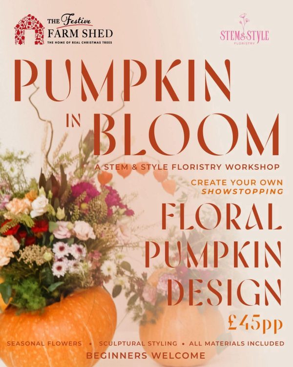 Pumpkin in Bloom | Floral Pumpkin Design Pumpkin in Bloom | Floral Pumpkin Design