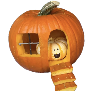 Pumpkin Carving Session